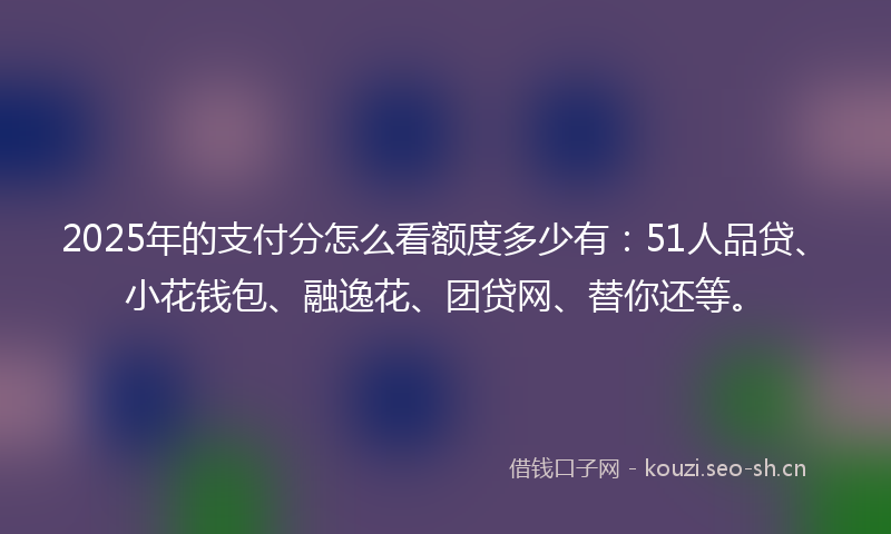 2025年的支付分怎么看额度多少有：51人品贷、小花钱包、融逸花、团贷网、替你还等。