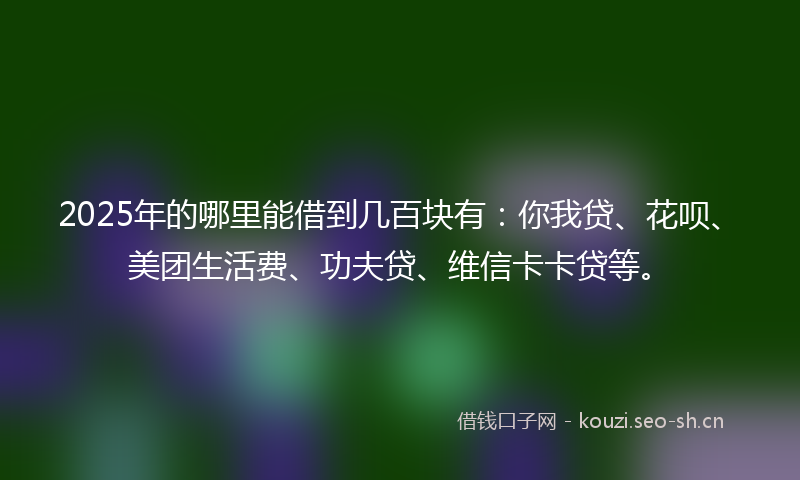 2025年的哪里能借到几百块有：你我贷、花呗、美团生活费、功夫贷、维信卡卡贷等。