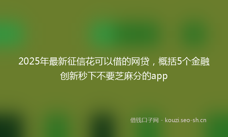 2025年最新征信花可以借的网贷，概括5个金融创新秒下不要芝麻分的app