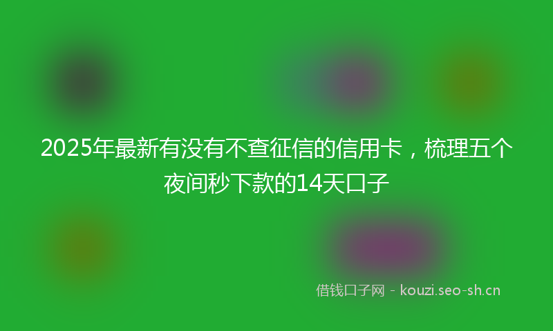 2025年最新有没有不查征信的信用卡，梳理五个夜间秒下款的14天口子