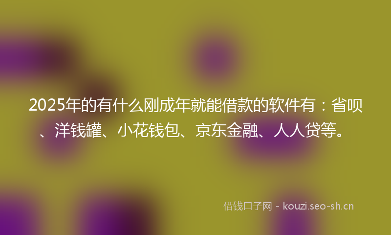 2025年的有什么刚成年就能借款的软件有：省呗、洋钱罐、小花钱包、京东金融、人人贷等。