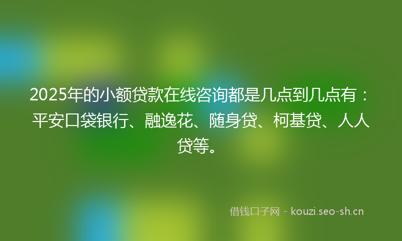2025年的小额贷款在线咨询都是几点到几点有：平安口袋银行、融逸花、随身贷、柯基贷、人人贷等。