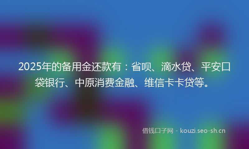 2025年的备用金还款有：省呗、滴水贷、平安口袋银行、中原消费金融、维信卡卡贷等。