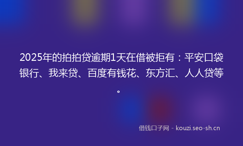 2025年的拍拍贷逾期1天在借被拒有：平安口袋银行、我来贷、百度有钱花、东方汇、人人贷等。