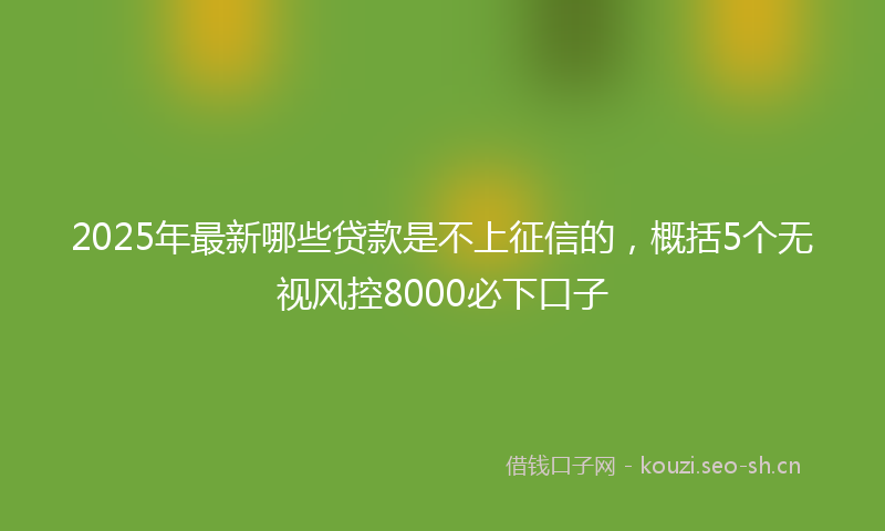 2025年最新哪些贷款是不上征信的，概括5个无视风控8000必下口子