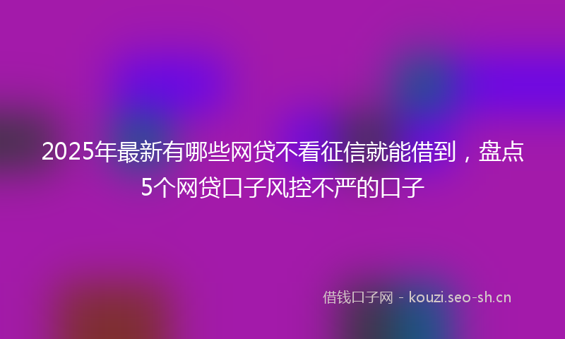 2025年最新有哪些网贷不看征信就能借到，盘点5个网贷口子风控不严的口子