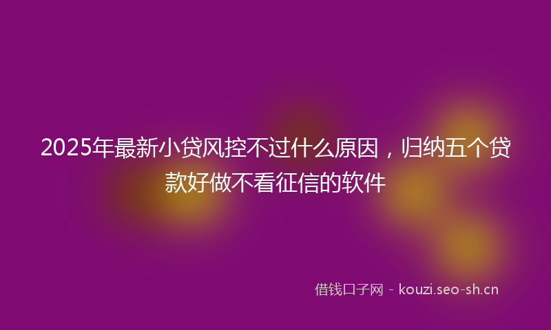 2025年最新小贷风控不过什么原因，归纳五个贷款好做不看征信的软件