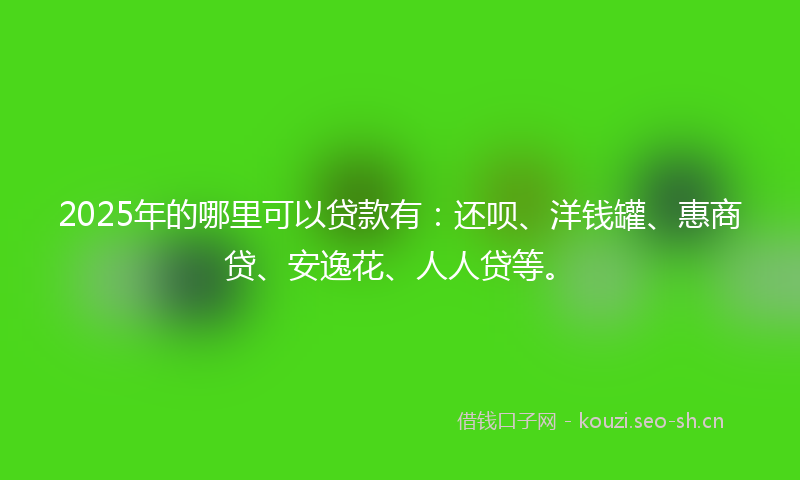 2025年的哪里可以贷款有：还呗、洋钱罐、惠商贷、安逸花、人人贷等。