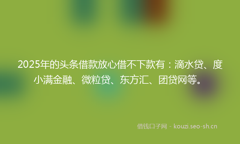 2025年的头条借款放心借不下款有：滴水贷、度小满金融、微粒贷、东方汇、团贷网等。