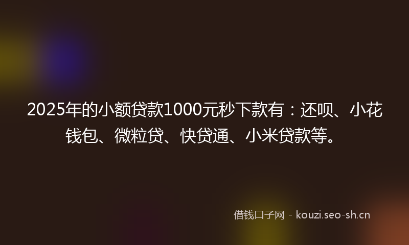 2025年的小额贷款1000元秒下款有：还呗、小花钱包、微粒贷、快贷通、小米贷款等。