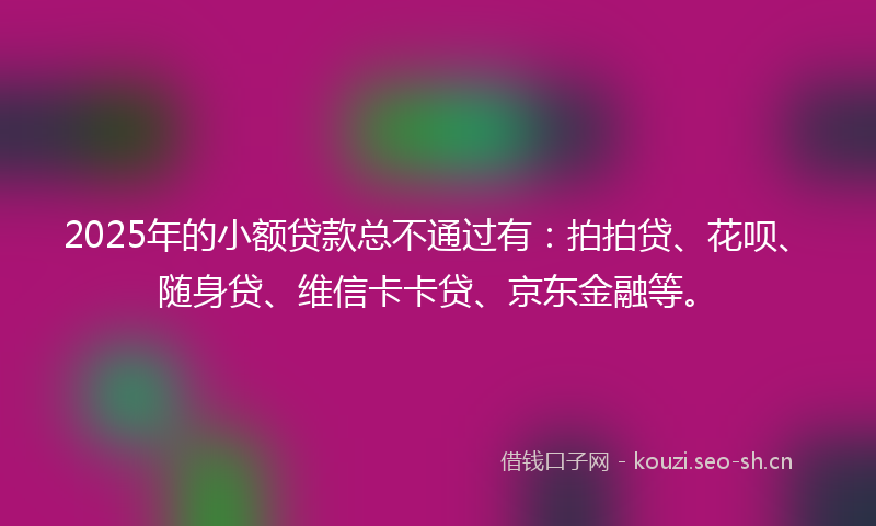 2025年的小额贷款总不通过有：拍拍贷、花呗、随身贷、维信卡卡贷、京东金融等。