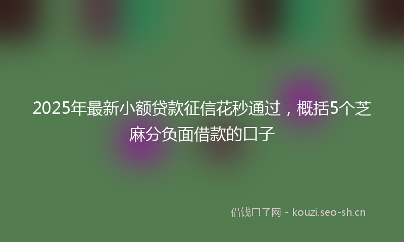 2025年最新小额贷款征信花秒通过，概括5个芝麻分负面借款的口子