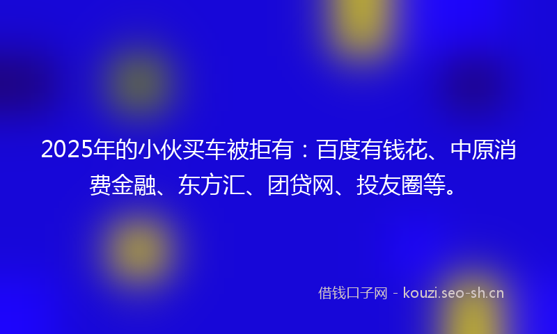 2025年的小伙买车被拒有：百度有钱花、中原消费金融、东方汇、团贷网、投友圈等。