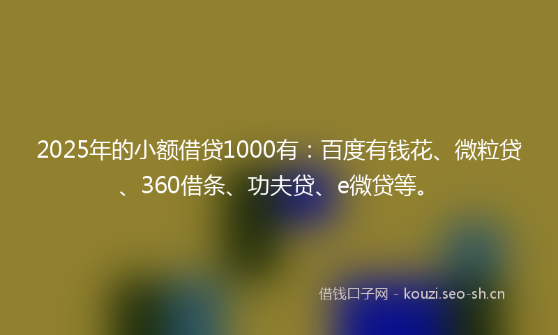 2025年的小额借贷1000有：百度有钱花、微粒贷、360借条、功夫贷、e微贷等。