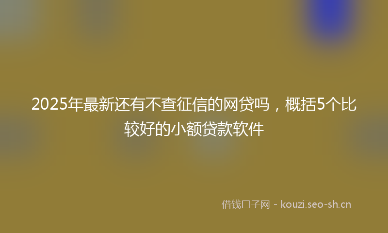 2025年最新还有不查征信的网贷吗，概括5个比较好的小额贷款软件