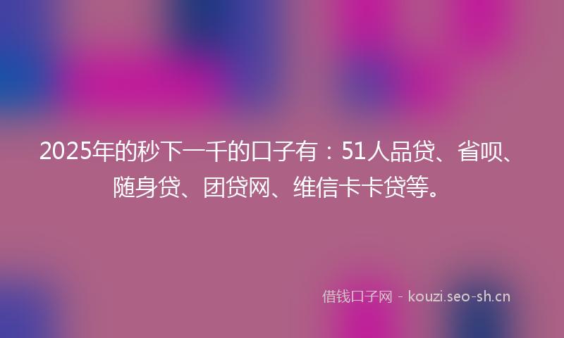 2025年的秒下一千的口子有：51人品贷、省呗、随身贷、团贷网、维信卡卡贷等。