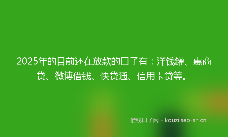 2025年的目前还在放款的口子有：洋钱罐、惠商贷、微博借钱、快贷通、信用卡贷等。