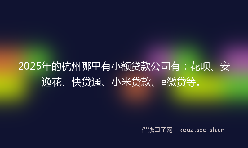 2025年的杭州哪里有小额贷款公司有：花呗、安逸花、快贷通、小米贷款、e微贷等。