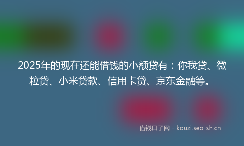 2025年的现在还能借钱的小额贷有：你我贷、微粒贷、小米贷款、信用卡贷、京东金融等。