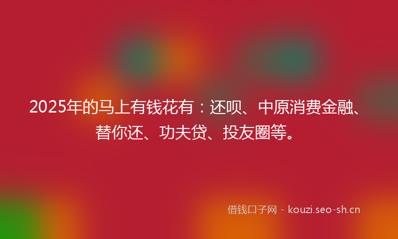 2025年的马上有钱花有：还呗、中原消费金融、替你还、功夫贷、投友圈等。