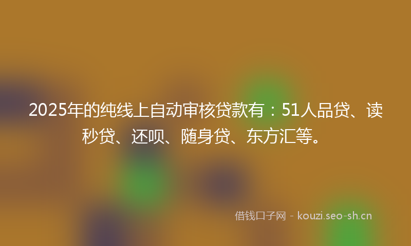 2025年的纯线上自动审核贷款有：51人品贷、读秒贷、还呗、随身贷、东方汇等。