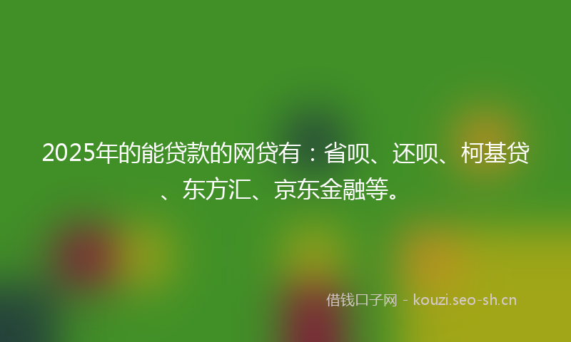 2025年的能贷款的网贷有：省呗、还呗、柯基贷、东方汇、京东金融等。