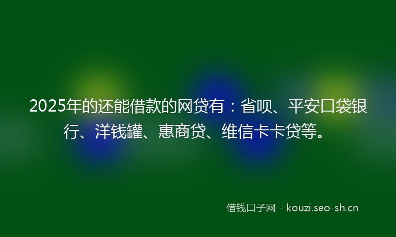2025年的还能借款的网贷有：省呗、平安口袋银行、洋钱罐、惠商贷、维信卡卡贷等。