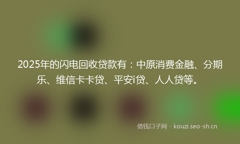 2025年的闪电回收贷款有：中原消费金融、分期乐、维信卡卡贷、平安i贷、人人贷等。