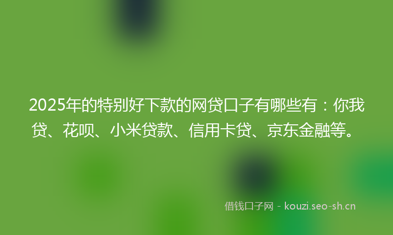 2025年的特别好下款的网贷口子有哪些有：你我贷、花呗、小米贷款、信用卡贷、京东金融等。