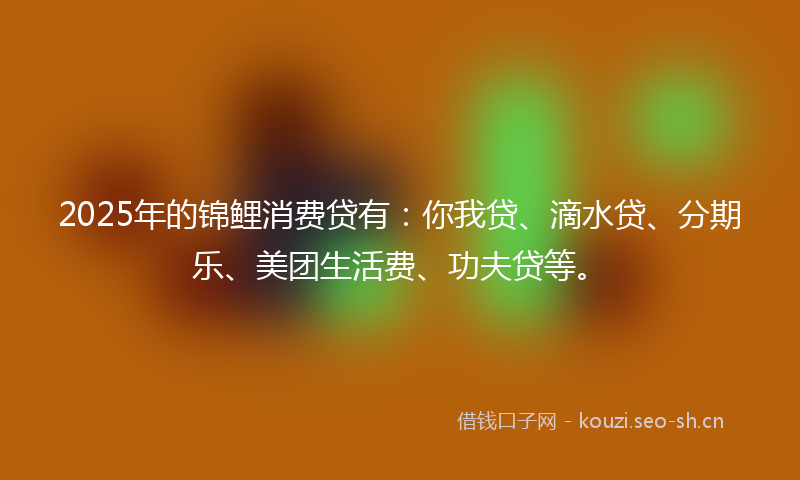 2025年的锦鲤消费贷有：你我贷、滴水贷、分期乐、美团生活费、功夫贷等。