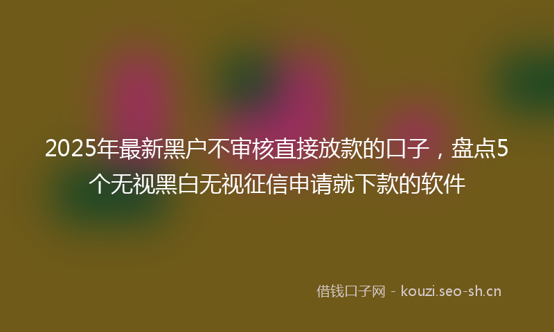 2025年最新黑户不审核直接放款的口子，盘点5个无视黑白无视征信申请就下款的软件