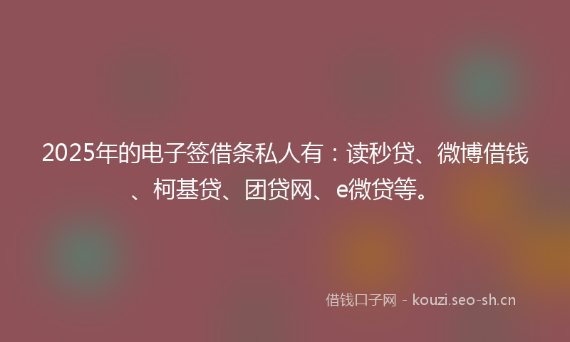 2025年的电子签借条私人有：读秒贷、微博借钱、柯基贷、团贷网、e微贷等。