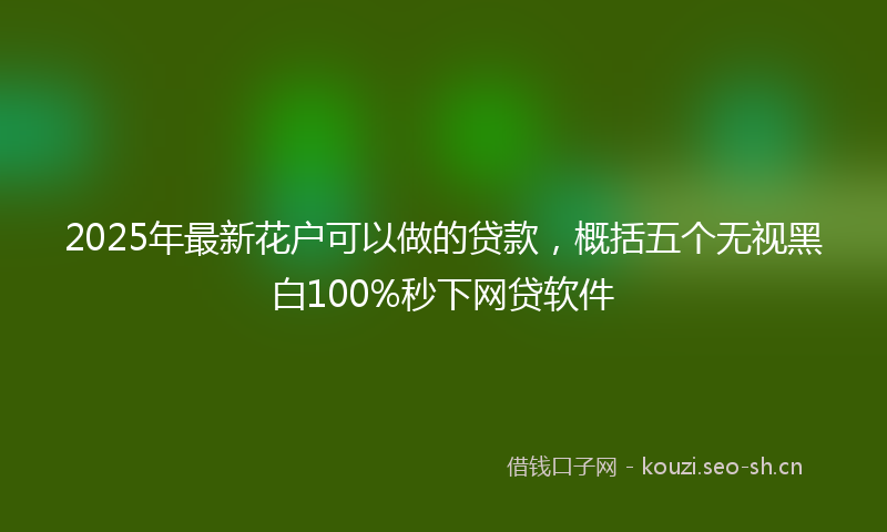 2025年最新花户可以做的贷款，概括五个无视黑白100%秒下网贷软件