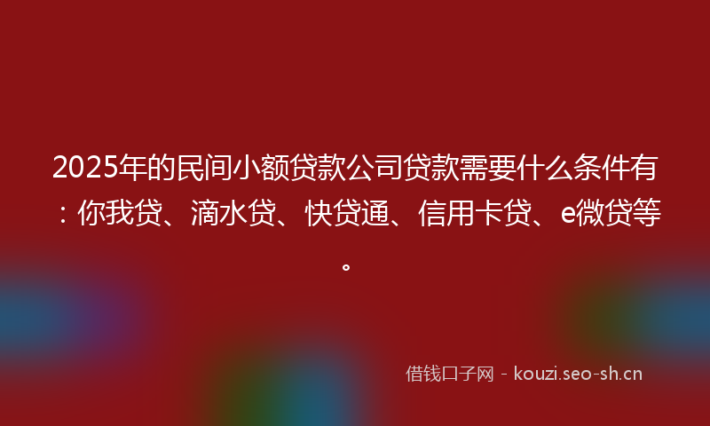2025年的民间小额贷款公司贷款需要什么条件有：你我贷、滴水贷、快贷通、信用卡贷、e微贷等。