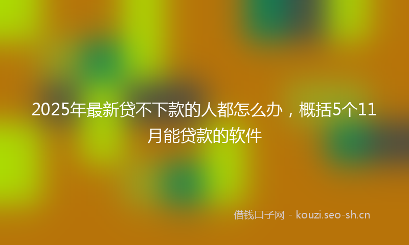 2025年最新贷不下款的人都怎么办，概括5个11月能贷款的软件