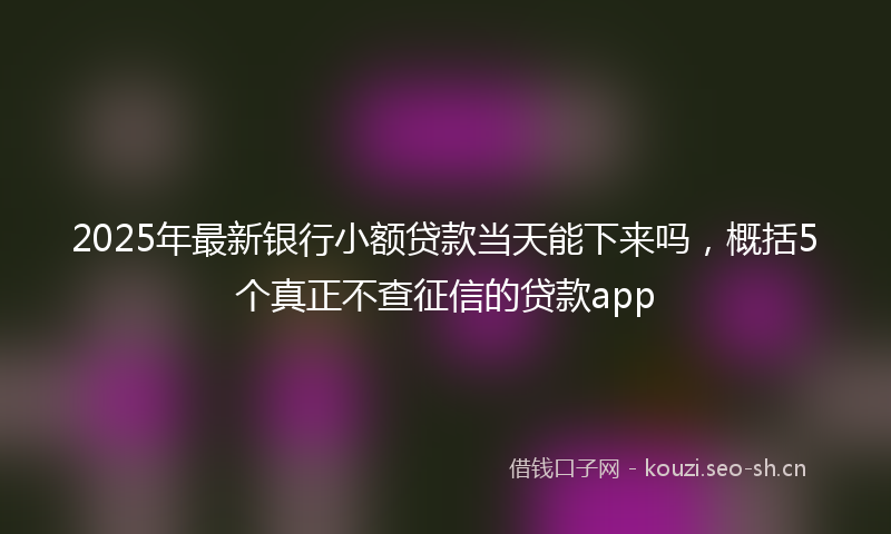 2025年最新银行小额贷款当天能下来吗，概括5个真正不查征信的贷款app