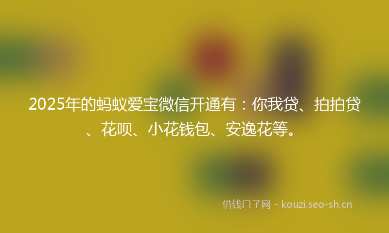 2025年的蚂蚁爱宝微信开通有：你我贷、拍拍贷、花呗、小花钱包、安逸花等。