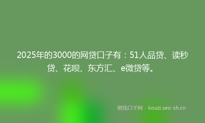 2025年的3000的网贷口子有：51人品贷、读秒贷、花呗、东方汇、e微贷等。