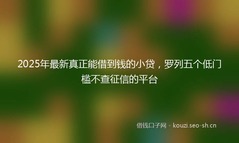 2025年最新真正能借到钱的小贷，罗列五个低门槛不查征信的平台