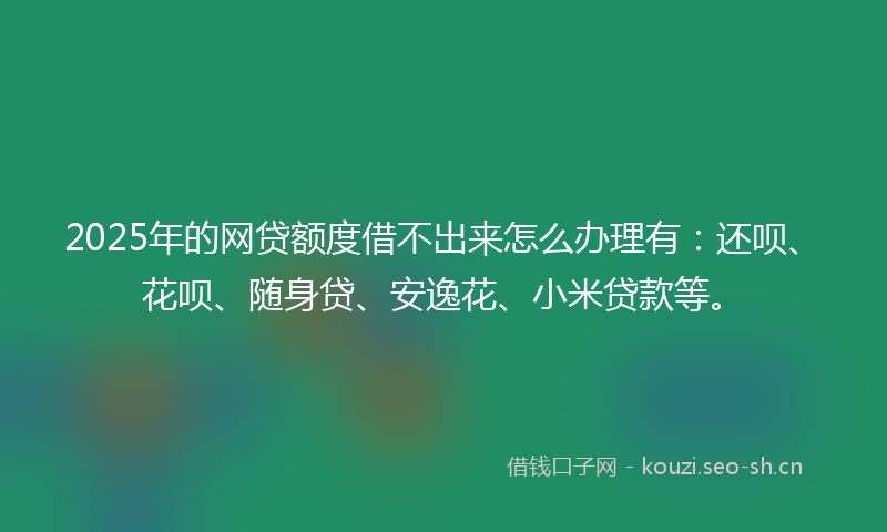 2025年的网贷额度借不出来怎么办理有：还呗、花呗、随身贷、安逸花、小米贷款等。