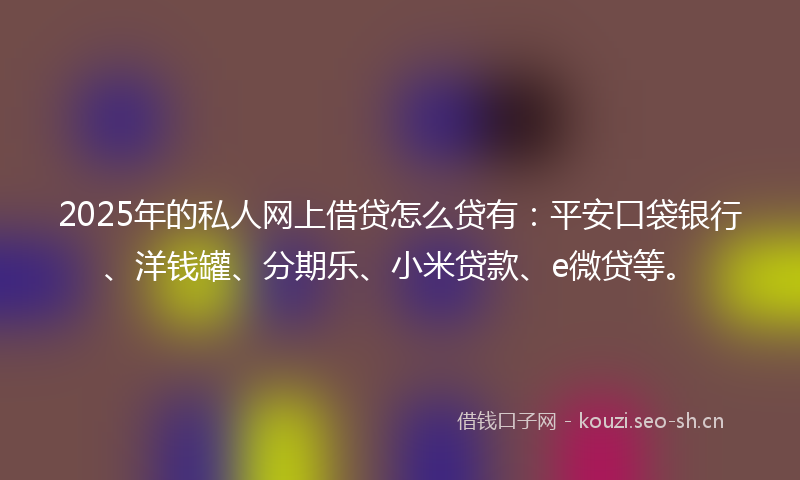 2025年的私人网上借贷怎么贷有：平安口袋银行、洋钱罐、分期乐、小米贷款、e微贷等。