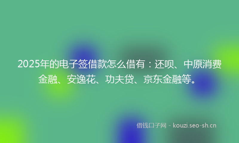 2025年的电子签借款怎么借有：还呗、中原消费金融、安逸花、功夫贷、京东金融等。
