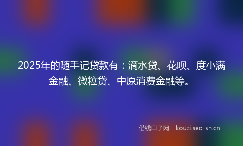 2025年的随手记贷款有：滴水贷、花呗、度小满金融、微粒贷、中原消费金融等。