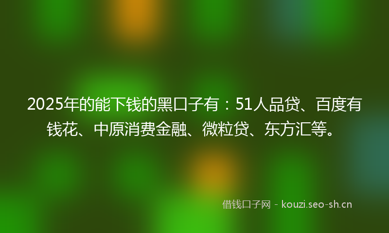 2025年的能下钱的黑口子有：51人品贷、百度有钱花、中原消费金融、微粒贷、东方汇等。