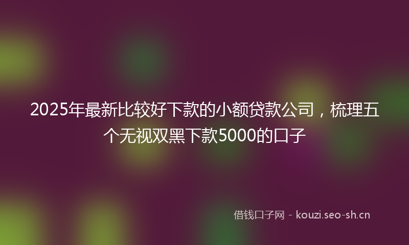 2025年最新比较好下款的小额贷款公司，梳理五个无视双黑下款5000的口子