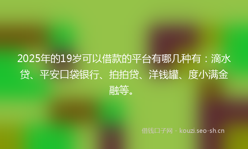 2025年的19岁可以借款的平台有哪几种有：滴水贷、平安口袋银行、拍拍贷、洋钱罐、度小满金融等。