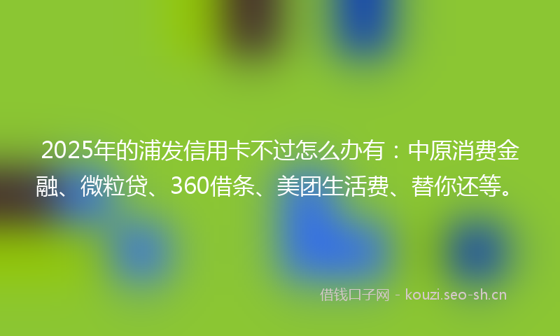 2025年的浦发信用卡不过怎么办有：中原消费金融、微粒贷、360借条、美团生活费、替你还等。