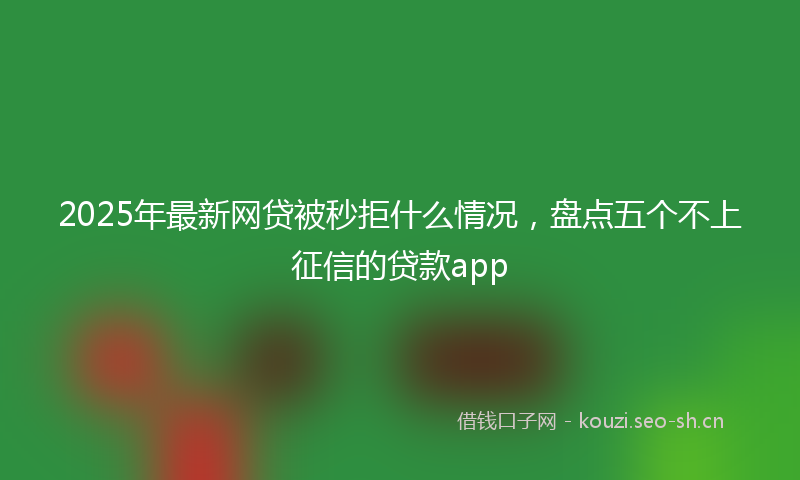 2025年最新网贷被秒拒什么情况，盘点五个不上征信的贷款app