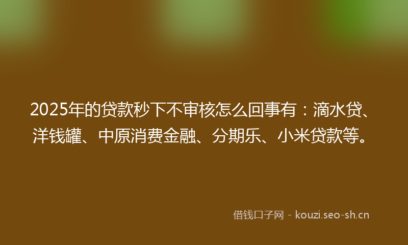 2025年的贷款秒下不审核怎么回事有：滴水贷、洋钱罐、中原消费金融、分期乐、小米贷款等。