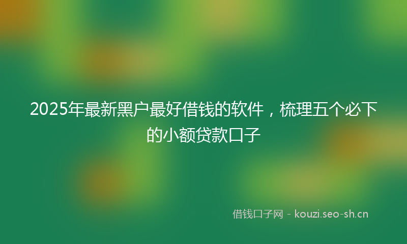 2025年最新黑户最好借钱的软件，梳理五个必下的小额贷款口子